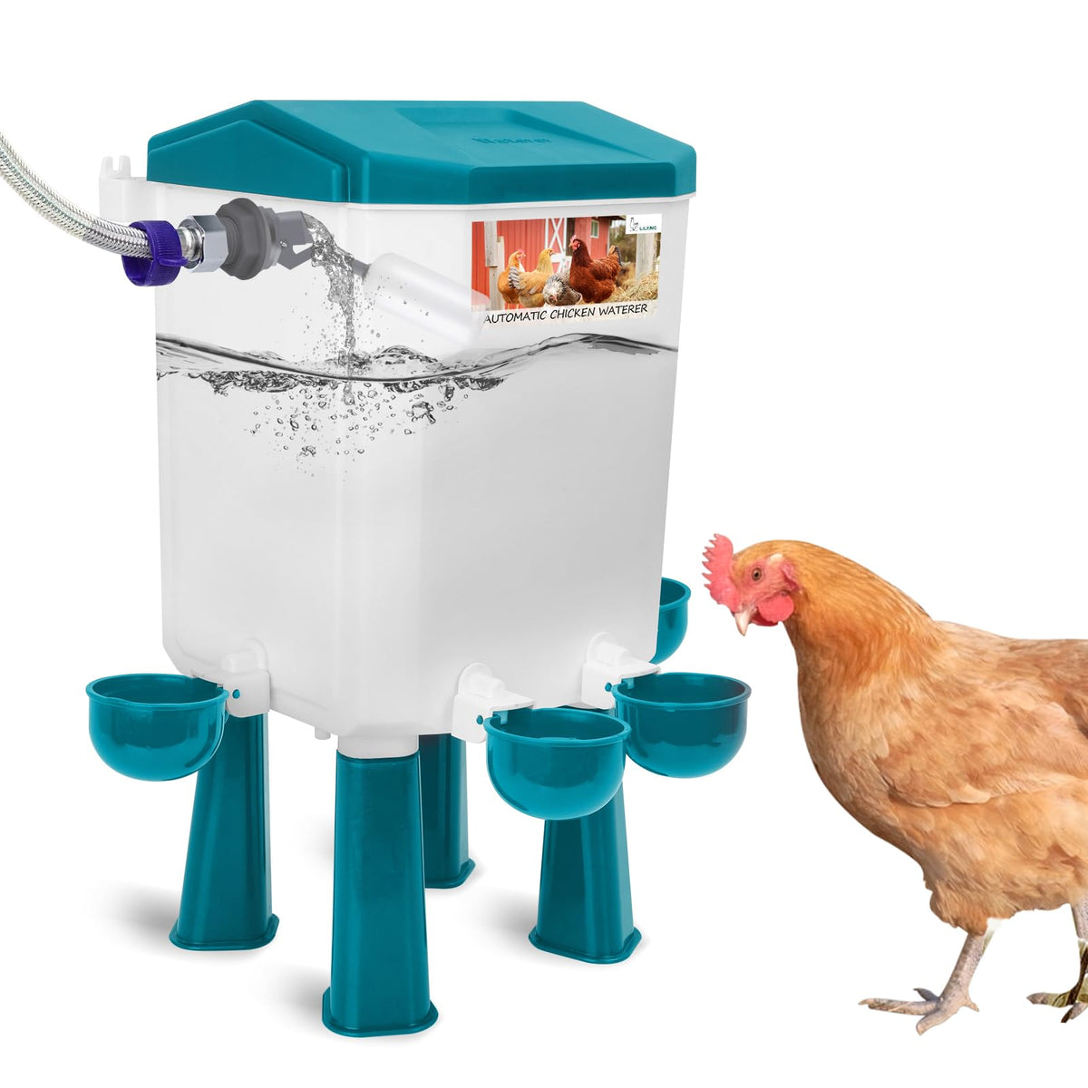 Automatic Chicken Waterer X611