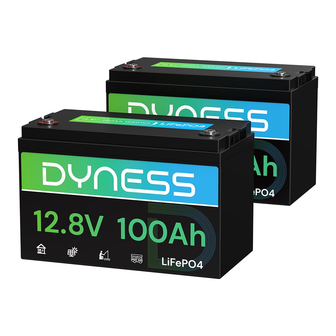 12V 100Ah LiFePO4 Lithium Battery 2 Pack Group 31 Q21058