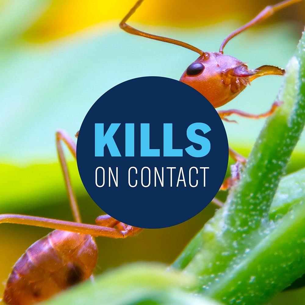 20 lb Granules Insect Killer Y48859