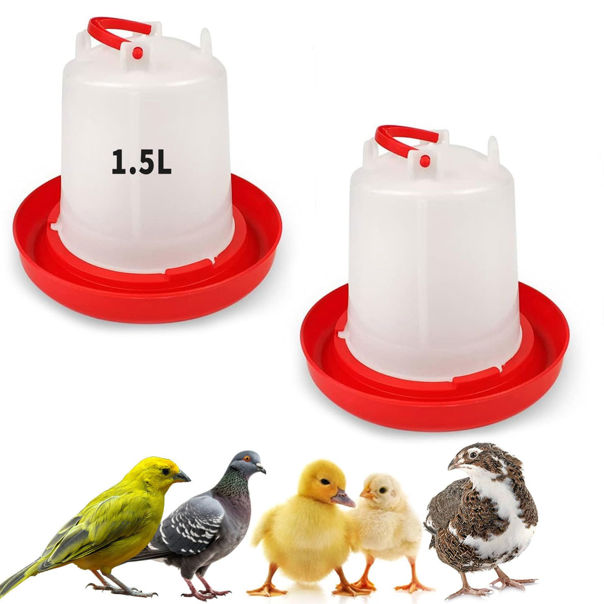 2 Pack 1.5L Plastic Chick Waterer O5357