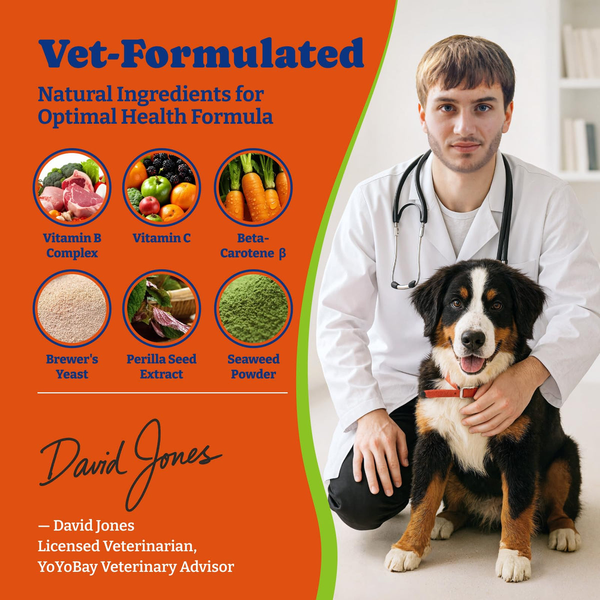Dog Flea & Tick Prevention Chewables B4982