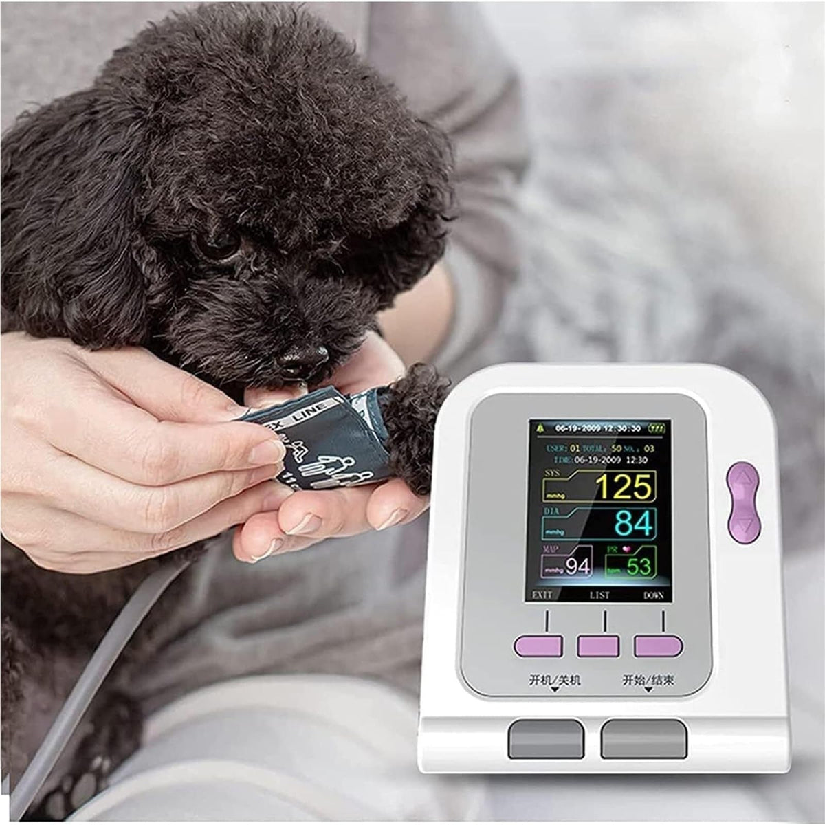 Pet Blood Pressure Monitor with 3 Cuffs O400