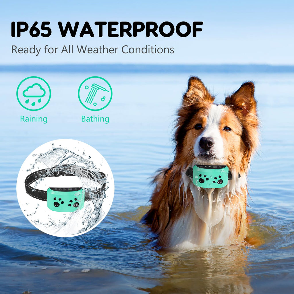 Anti Bark Collar for Dogs X4884