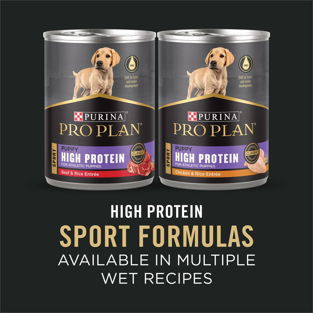 Chicken and Rice High Protein Dog Food 35 lb M5641