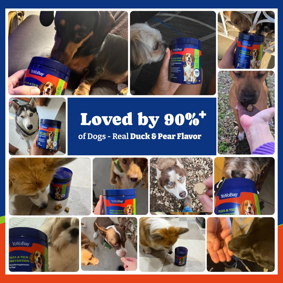 Dog Flea & Tick Prevention Chewables B4982
