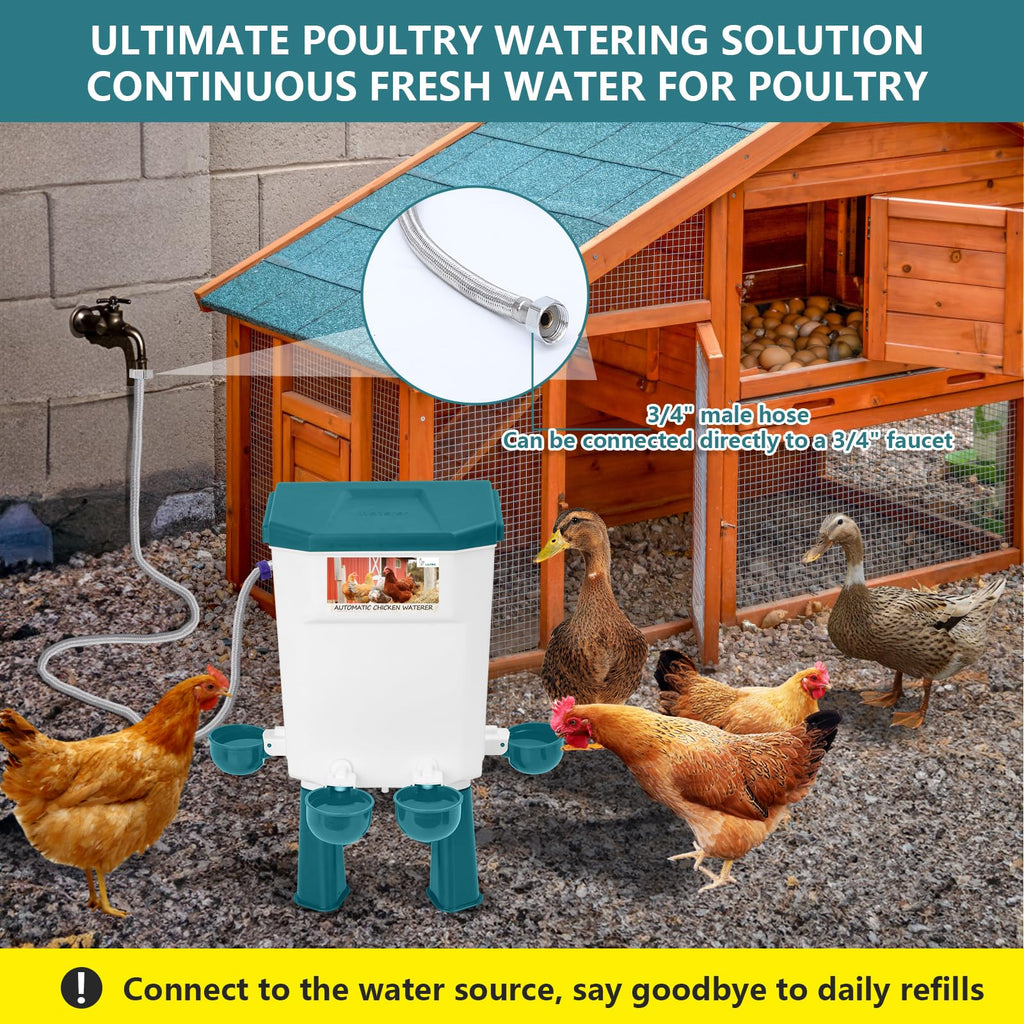 Automatic Chicken Waterer X611
