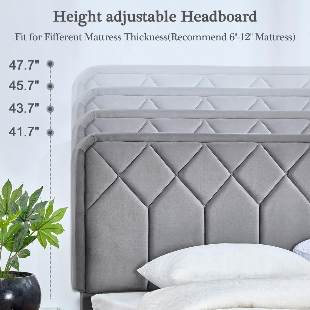 Queen Size Velvet Upholstered Platform Bed Frame Y828