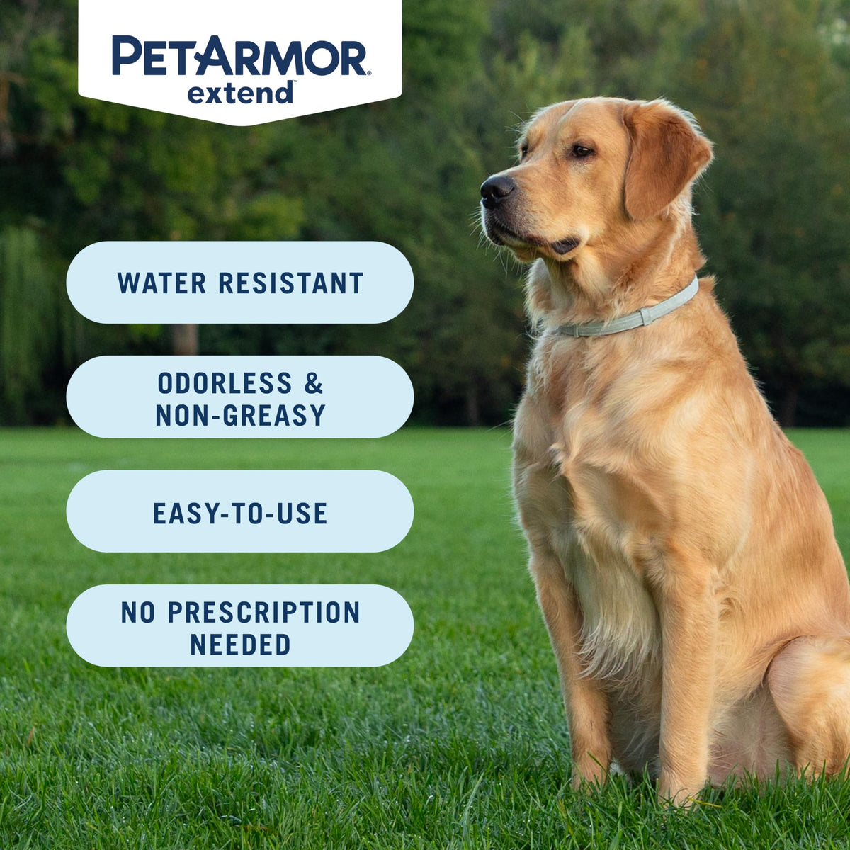 Large Dog Flea and Tick Collar 8 Months Protection A8094